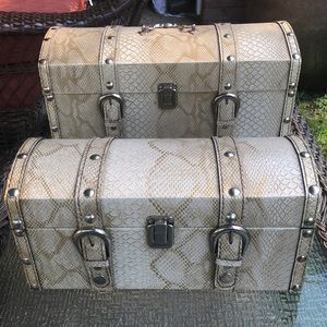 Set of 2 Decorative Trunks Faux Tan Snakeskin Pattrrn